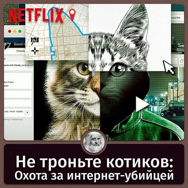 Руки прочь от котиков 2019. Руки прочь от котиков 2019