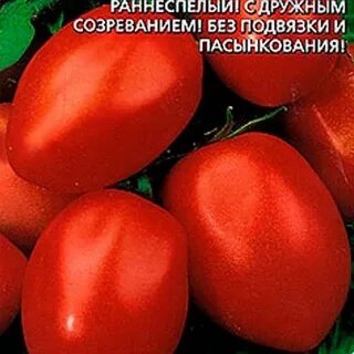 Томат засолочные характеристика и описание сорта