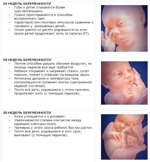 Размер Ребекка 27 неделя. Вес плода в 26 недель беременности. Вес ребенка в 26 недель. Размер ребёнка на 26 неделе беременности. 27 неделя беременности размеры