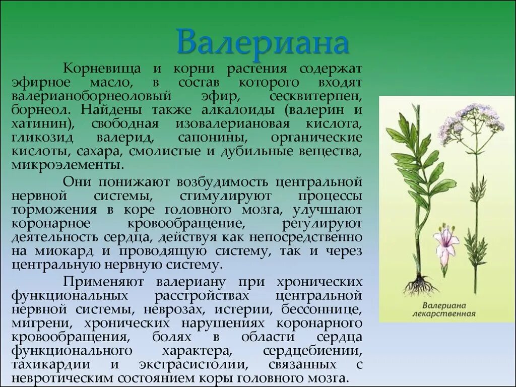 Растения содержат