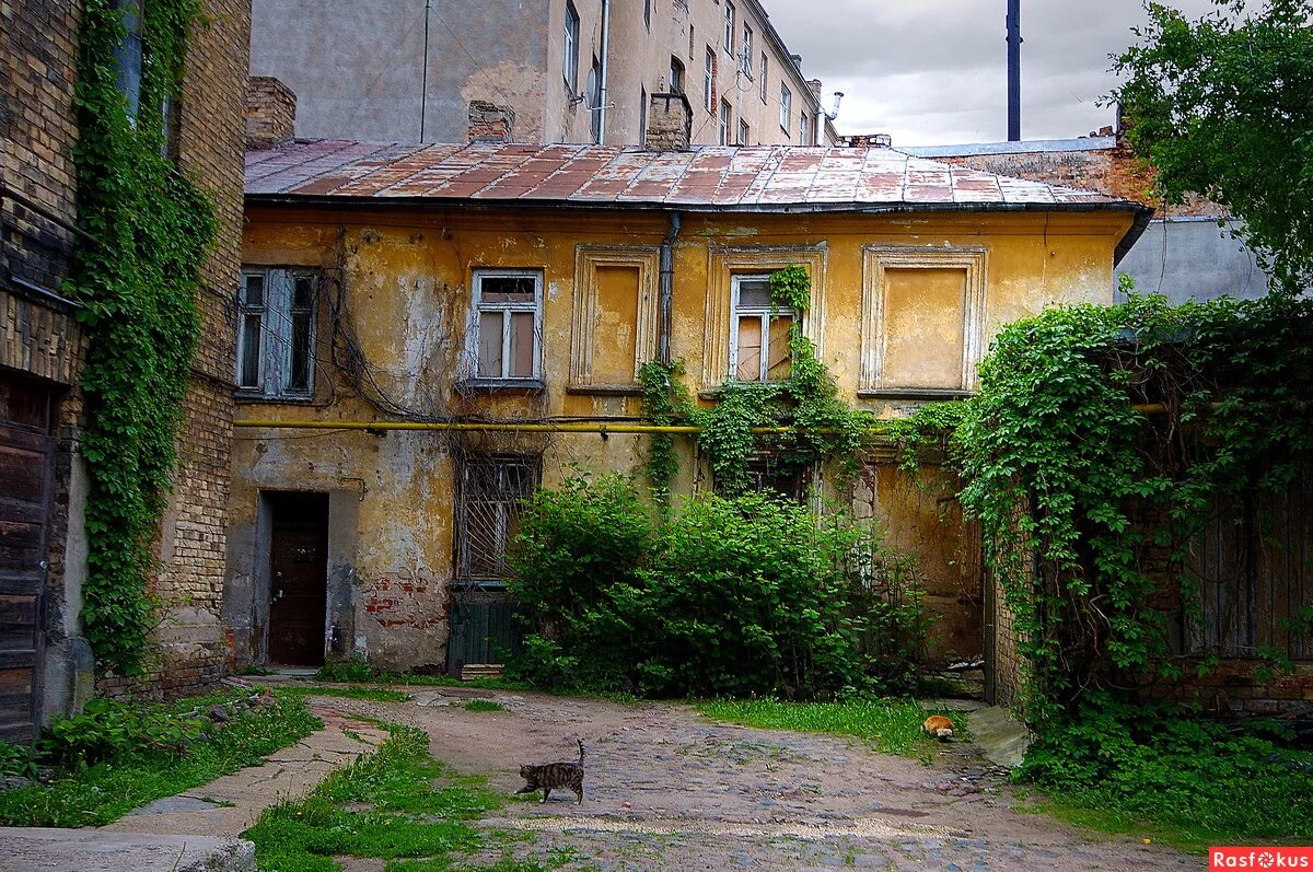старые дворы санкт-петербурга. обшарпанные дворы колодцы питера. львов старый город. дворы арбата владивосток. дворы старых домов.