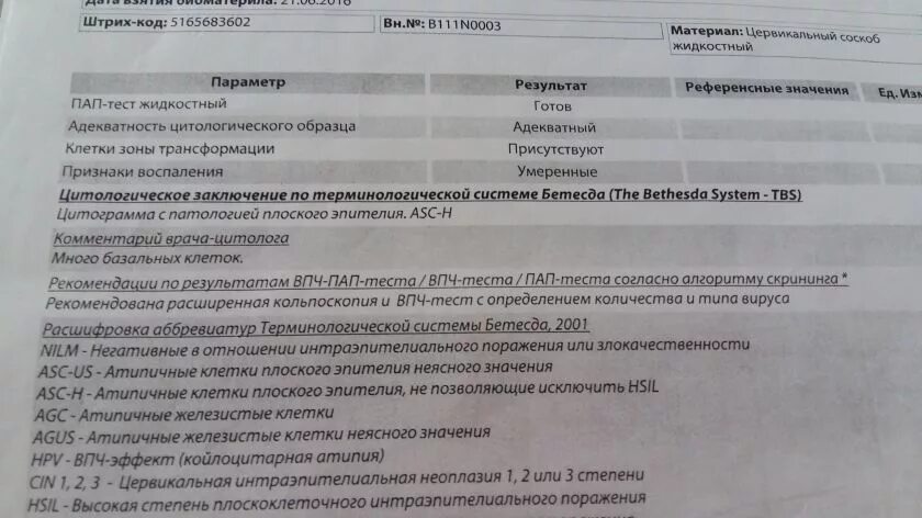 Клетки зоны трансформации присутствуют в цитологии что