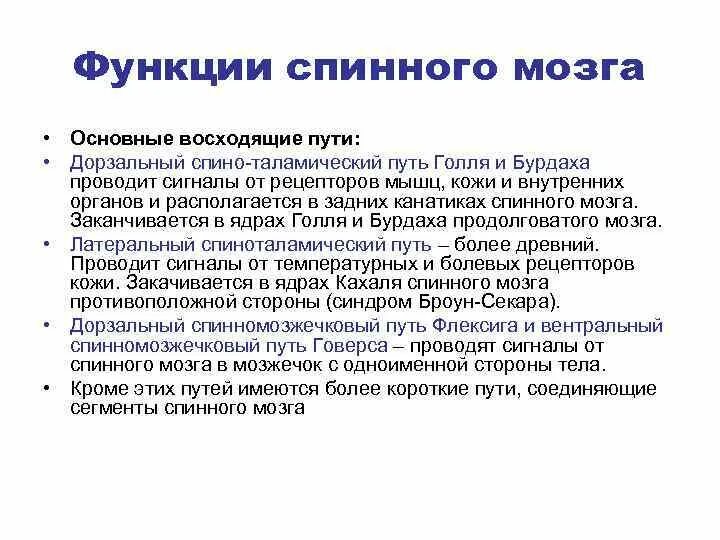 Функции спинномозгового мозга. Функции спинного мозга. Физиологическая роль спинного мозга. Основные функции спинного мозга. Функции спинного мозга физиология.