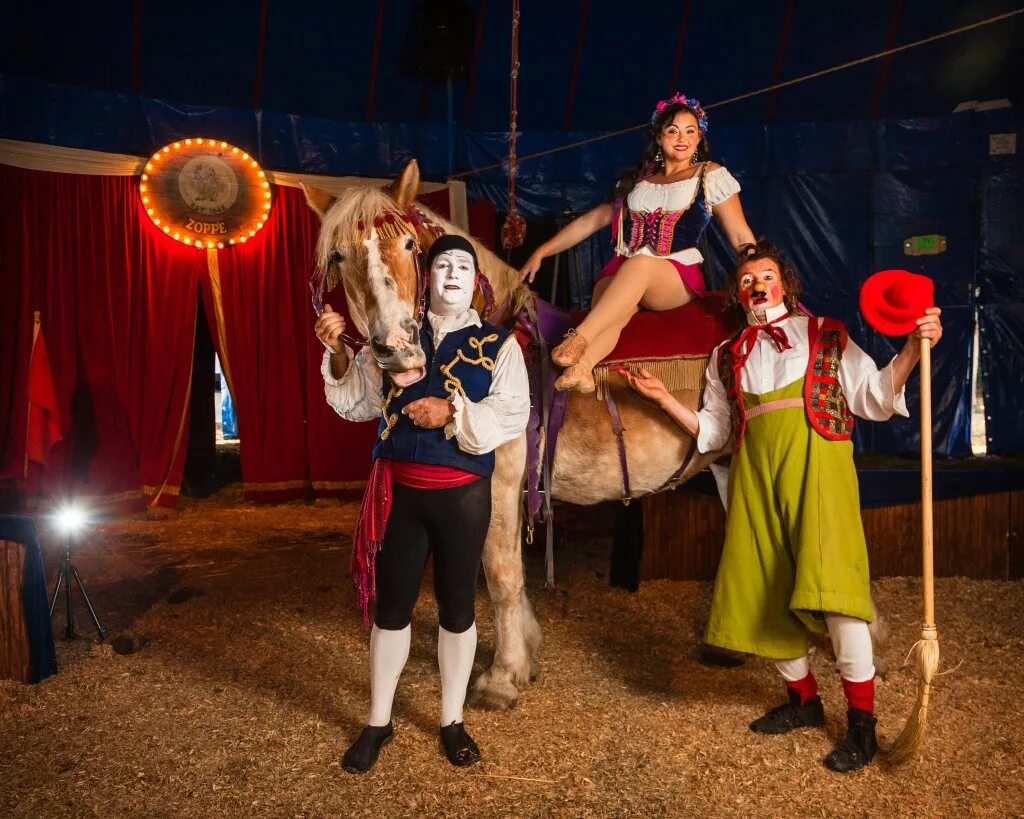 Family circus. Family circus. Family circus. Family circus. Эмблема цирка.