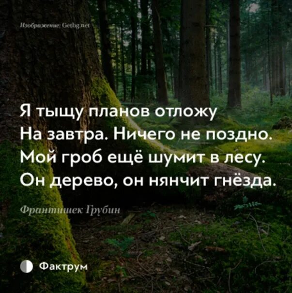 Ничего не поздно мой гроб еще шумит в лесу он. Еще не осень если я терплю как. Мой гроб ещё шумит в лесу он дерево он нянчит гнёзда. Мой гроб ещё шумит в лесу стих. Еще не осень если я терплю как.