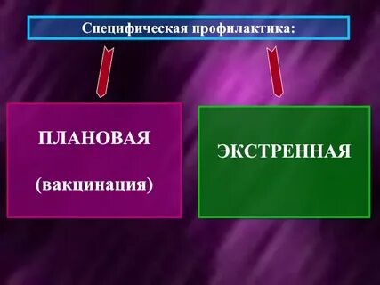 Экстренная вакцинация