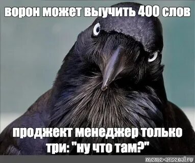 Raven meme