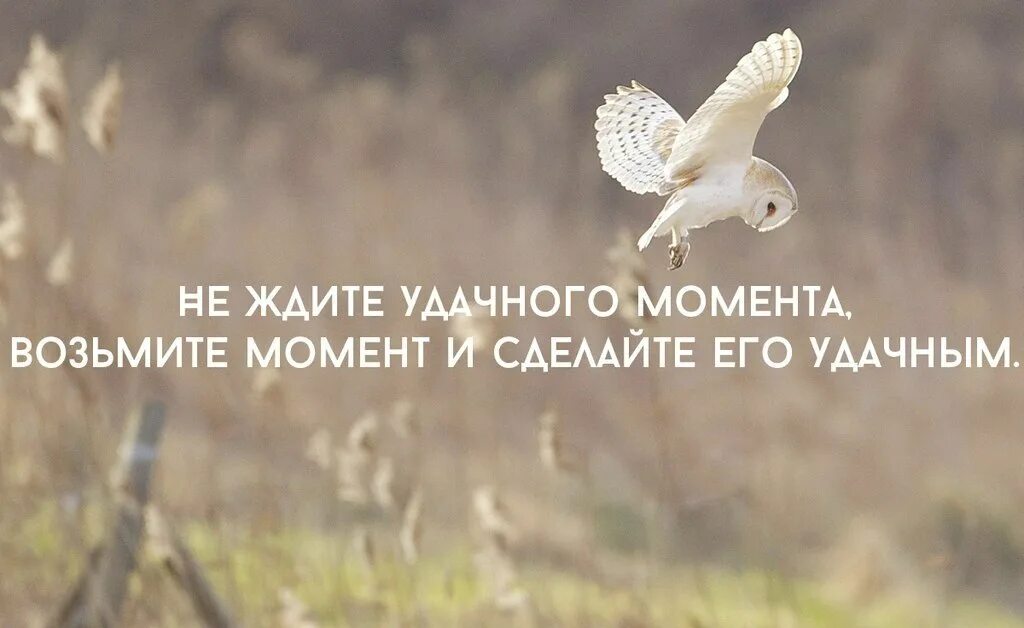 Возьми и делай видео. Не жди идеального момента. не жди удачного момента. не ждите подходящего момента. не ждите удачного момента возьмите момент и сделайте его удачным.