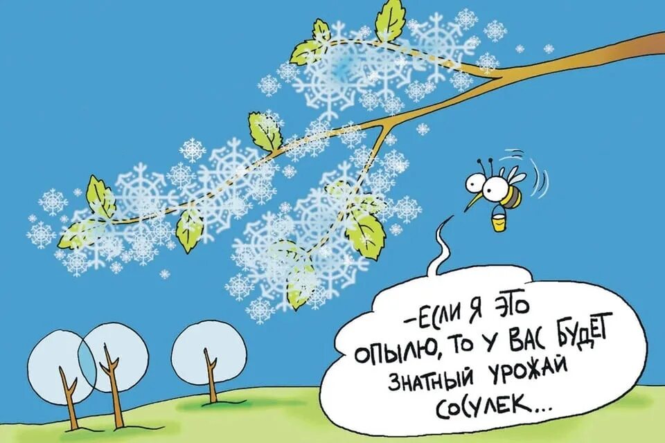 Про погоду холодную в мае