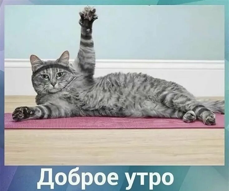 Смешное с добрым утром друзья