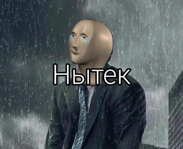 Экономист стонкс. Мем голова. Стонкс лицо. Стонкс оригинал. Стонкс мемы.