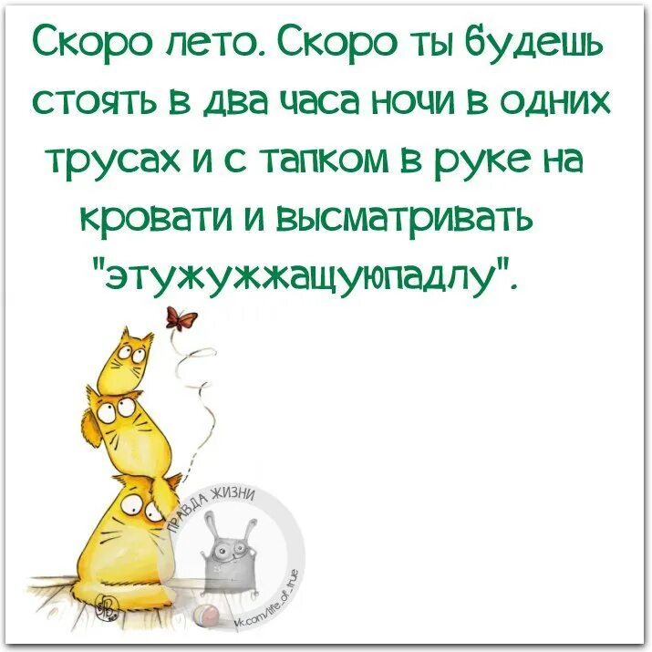 Летние анекдоты. Анекдоты о лете. Анекдоты про лето. Анекдоты про лето смешные. Summer jokes