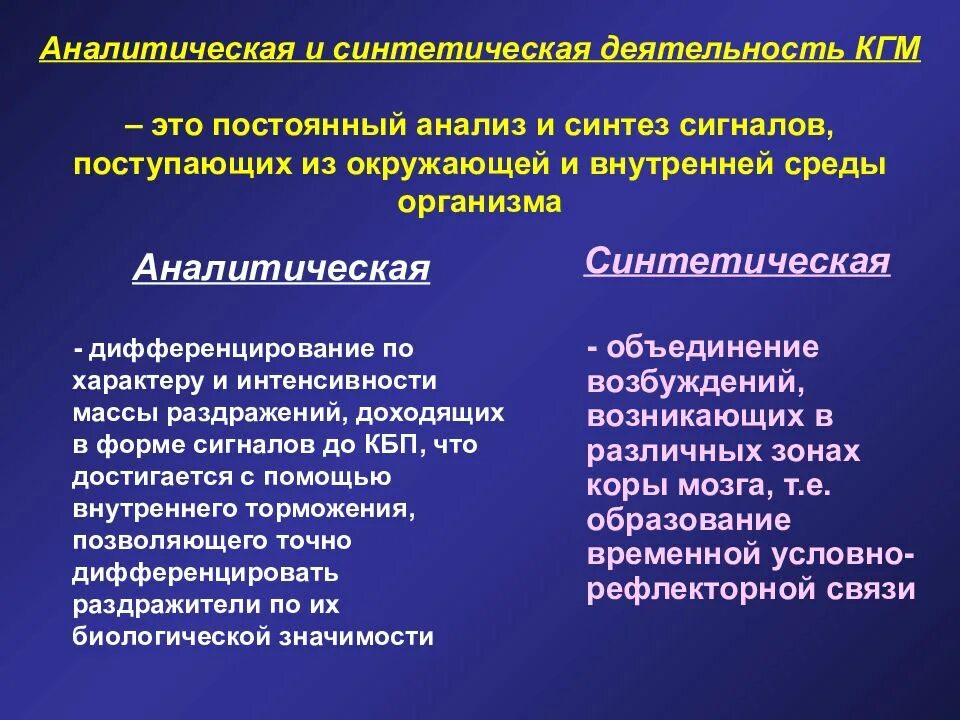 2 2 аналитический и синтетический. Аналитико-синтетическая деятельность коры больших полушарий. Аналитическая и синтетическая функции головного мозга. Аналитика синтетическая деятельность коры больших полушарий. Синтетическая деятельность это.