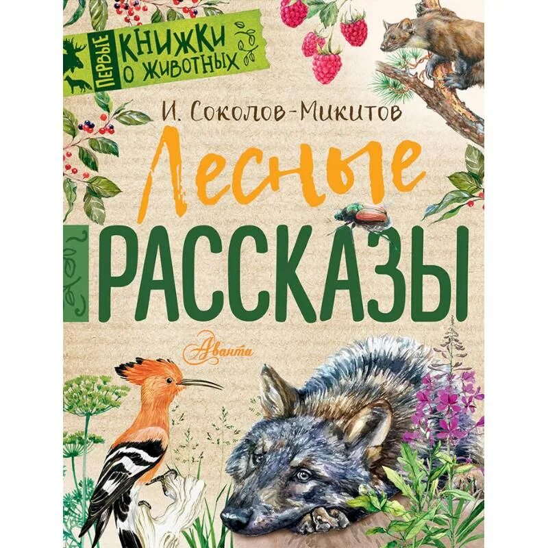 Книга лесные рассказы. Книги Соколова Микитова. Книги Соколова Микитова для детей. Книги Соколова Микитова для детей о животных. Лесные рассказы книга.