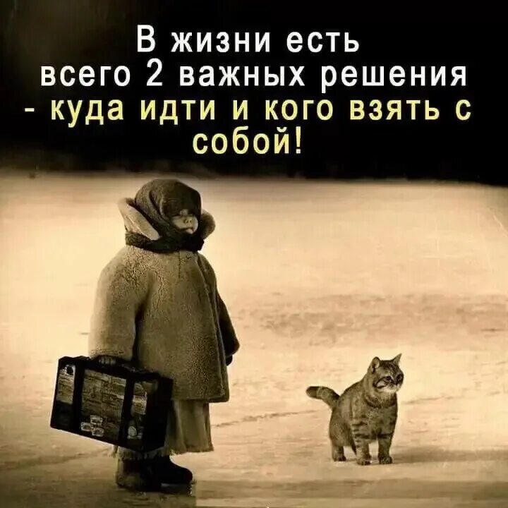 Муж бросил и уехал. Настроение уехать с котом в Простоквашино. Настроение уехать с котом. Настроение всё бросить и уехать. Настроение уехать в Простоквашино.