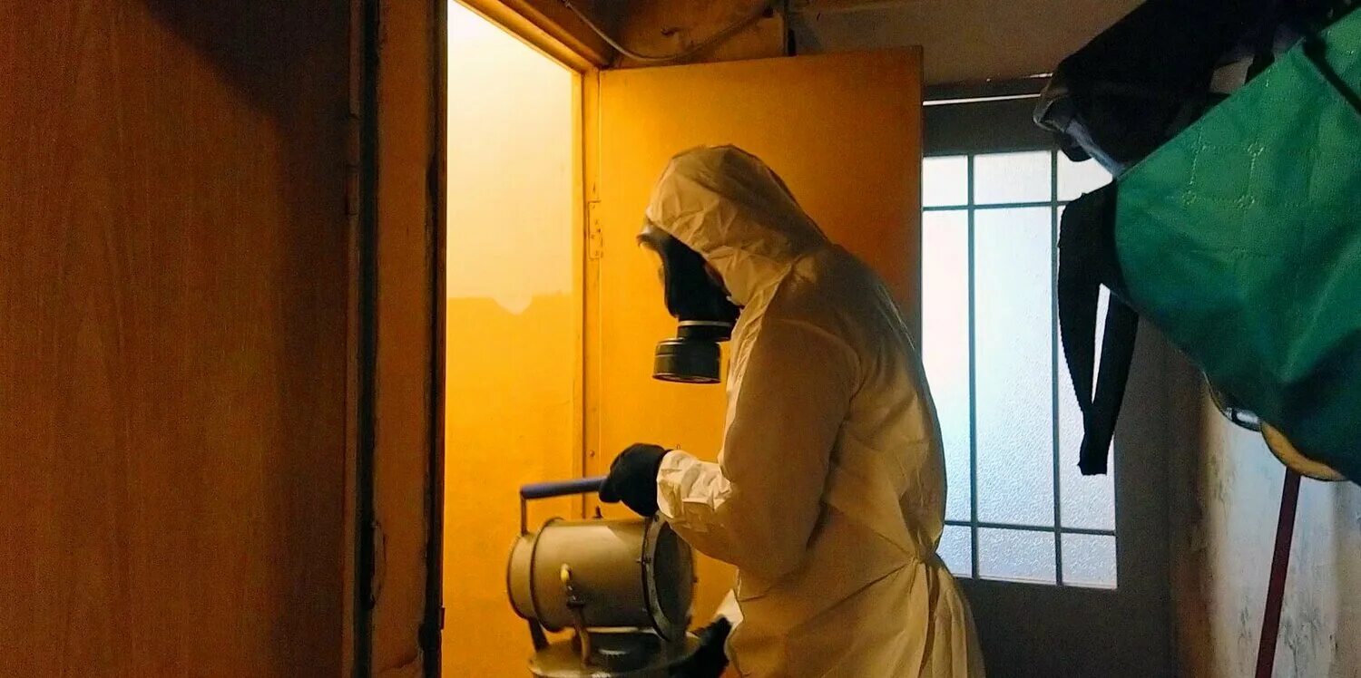 Дезинсекция моли. Дезинсекция моли. Моль перечеркнута. Дезинсекция моли. Дезинсекция от клопов в квартире.