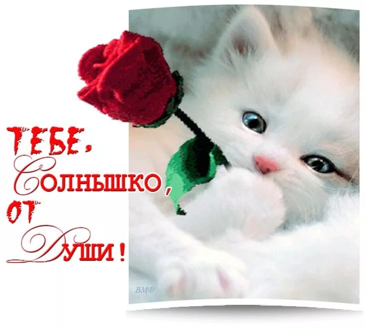 Открытки ты прелесть. Красавица открытки. Открытка чтобы ты улыбнулась. Открытки девочки красавицы. Открытка девушке.