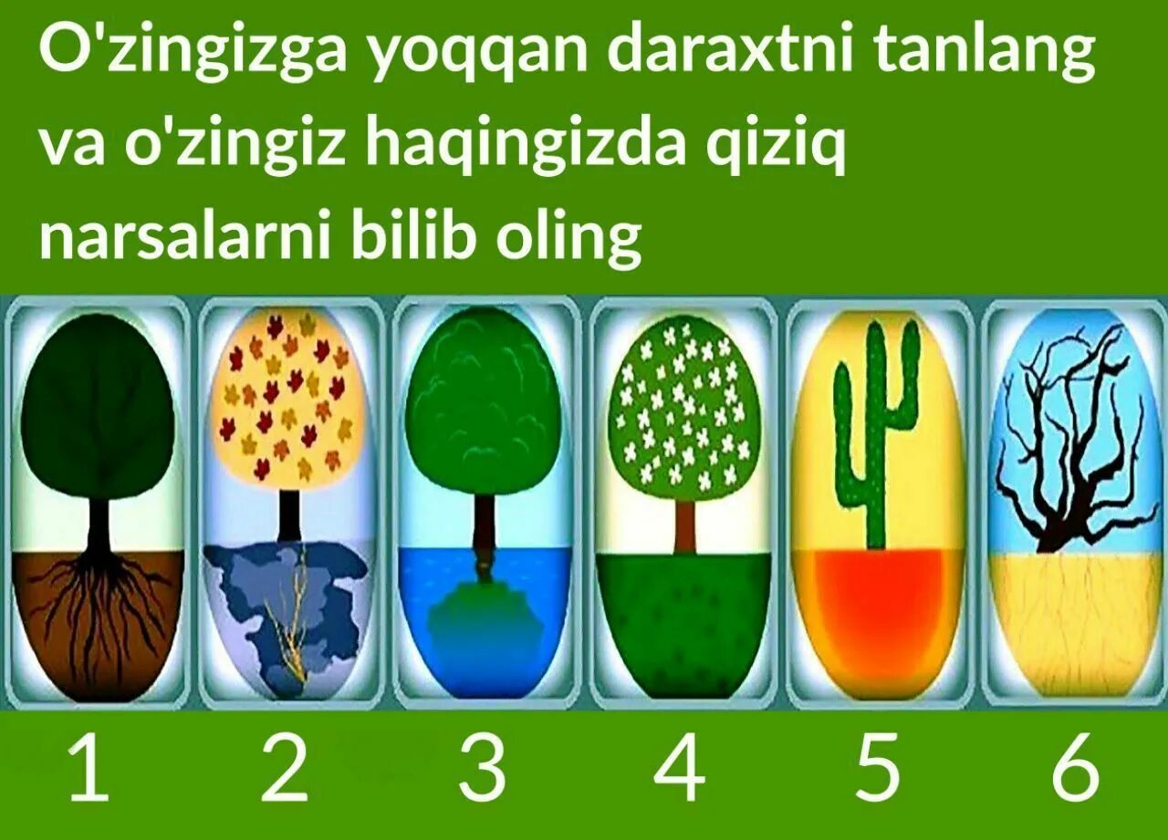 Testing javoblari. Psixologik test. психологические тестлар. qiziqarli psixologik testlar. psixologik test javoblari.