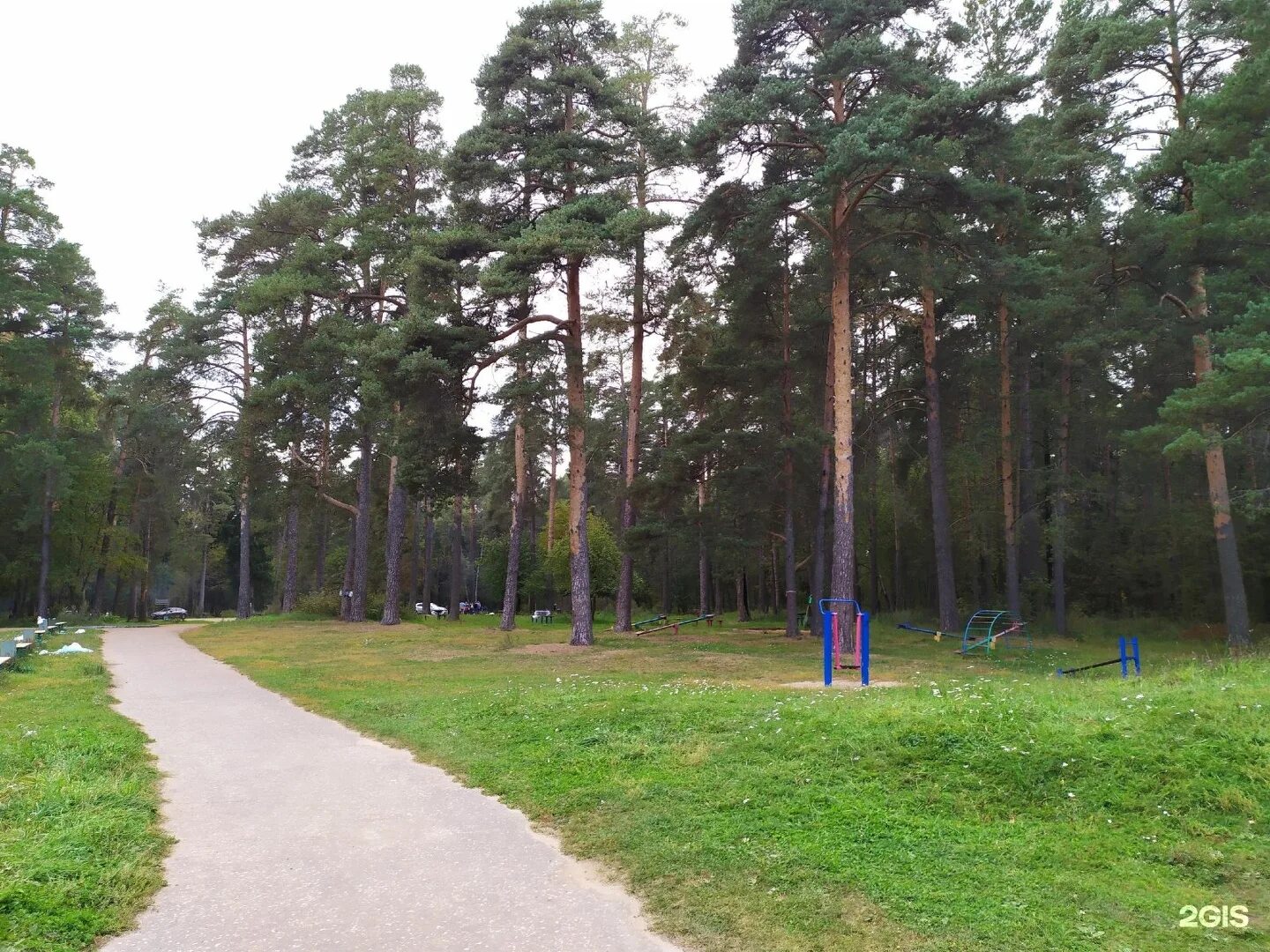 Тверь стадион бобачевская роща. Комсомольская роща парк тверь. Роща тверь. Тверь бобачевская роща парки. Первомайская роща тверь тьмака.