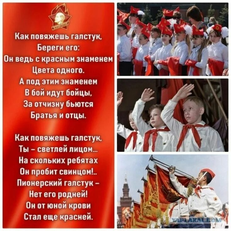 Стих как повяжешь галстук береги его. Пионерский галстук стихотворение. стих про пионерский галстук. как повяжешь галстук береги его стихотворение. стихи про пионеров.