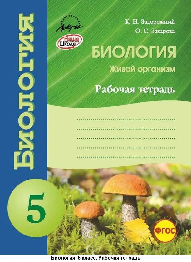 Биология пятый класс. Задорожный рабочая тетрадь по биологии. Рабочая тетрадь по биологии 5. Тетрадь по биологии 5 класс. Биология 5 класс рабочая тетрадь.