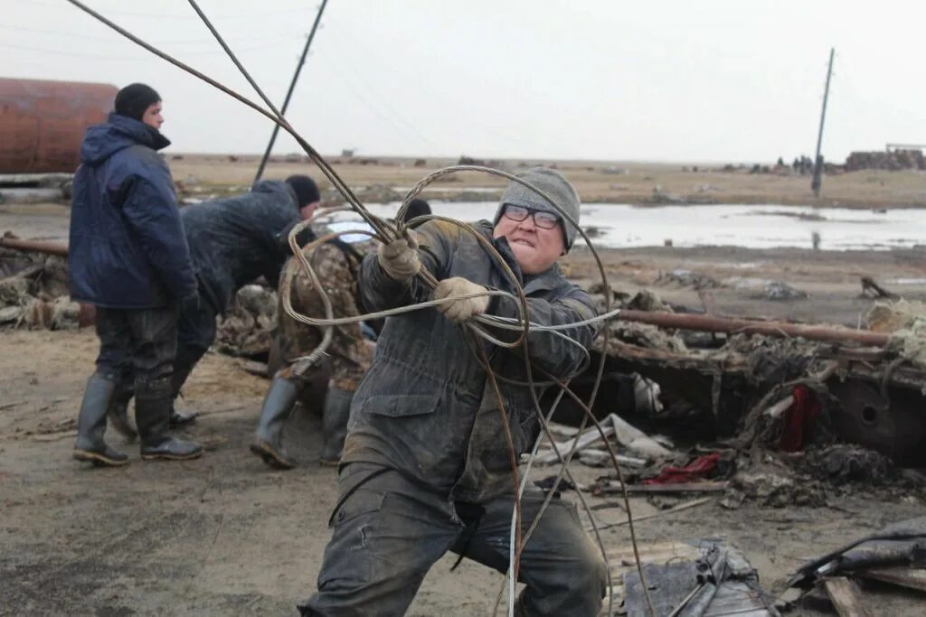 Полярный разбор