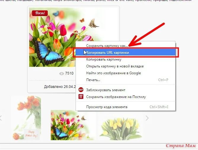 Url pictures. Копировать адрес изображения. Копировать урл картинки. Как Скопировать адрес изображения. Картинки Скопировать ссылку.