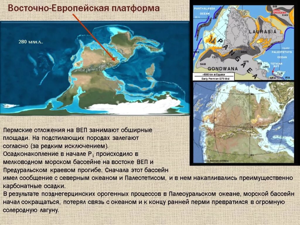 Океан на западе европы. Восточно-европейская платформа. Восточно европейская пл. Восточно европейская древняя платформа. Западно-европейская платформа.