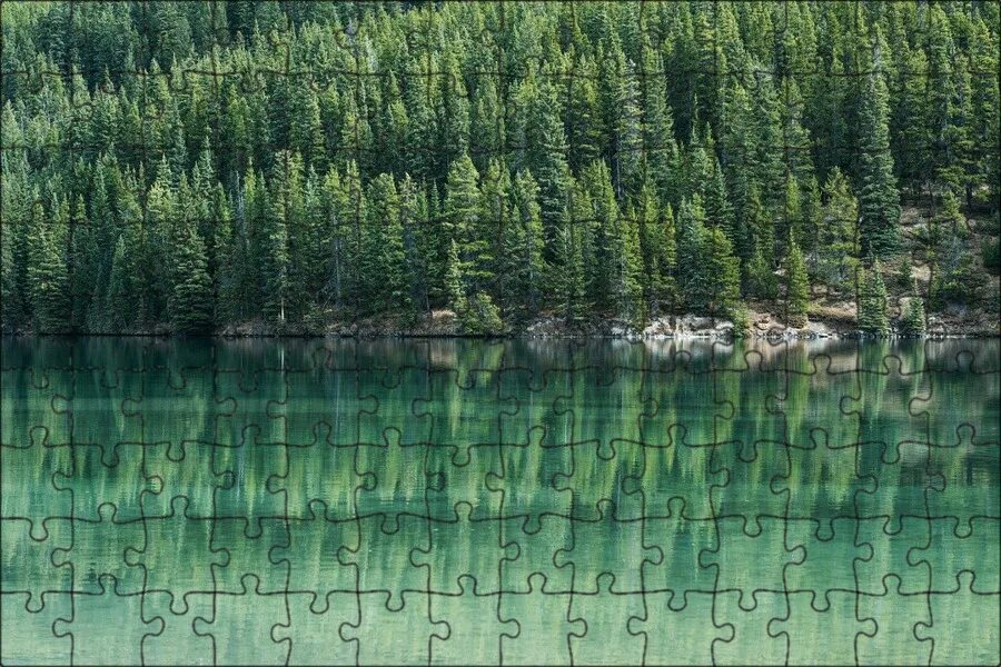 Скачать обои Природа, Пейзаж, Еловый лес, раздел пейзажи в разрешении 2048x1342