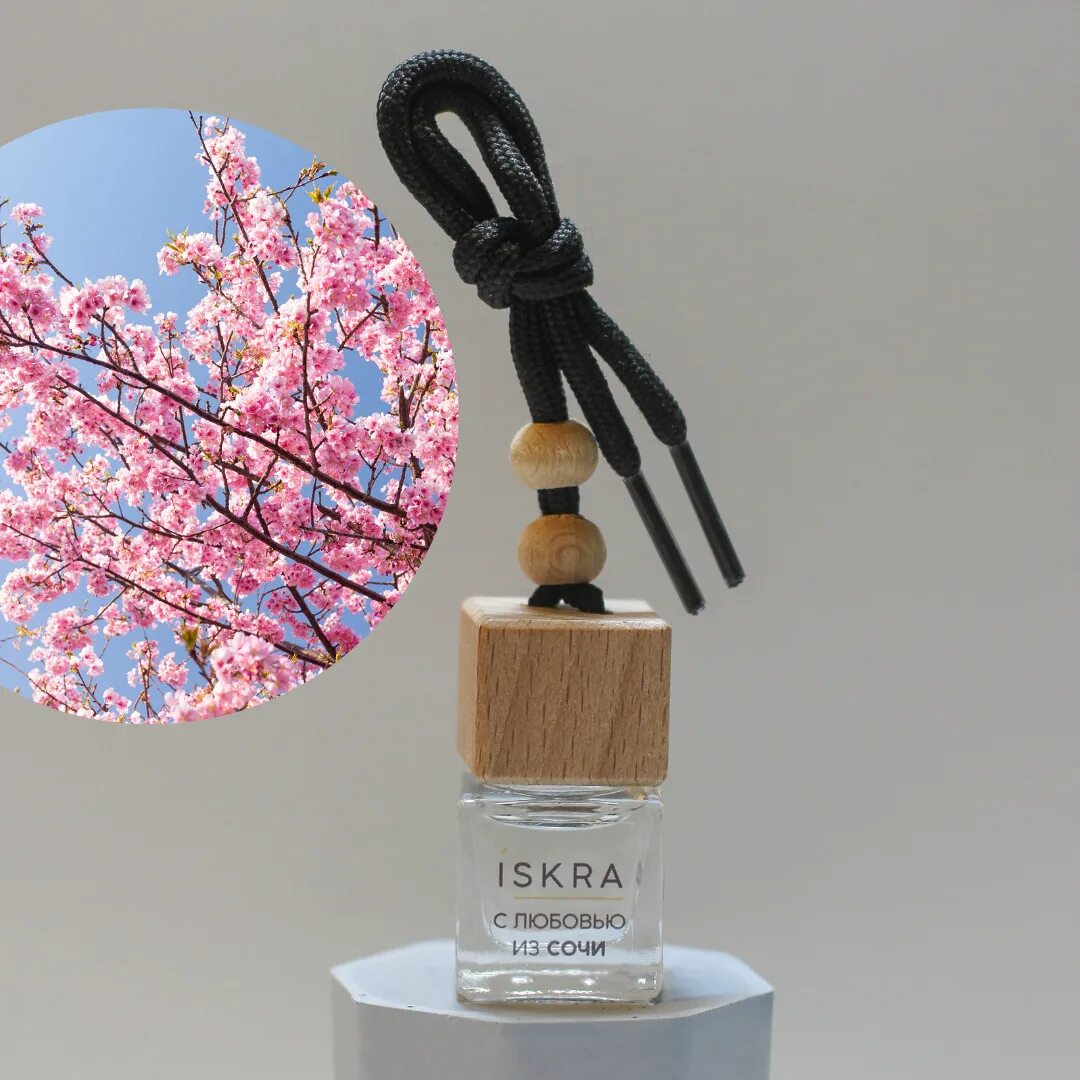 Ароматизатор сакура. Ароматизатор в машину sakura. вонючка сакура для авто. ikeda sakura ароматизатор.