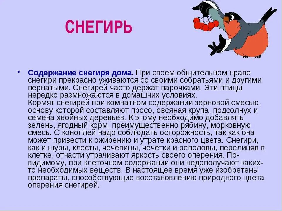Приведи примеры подобных слов снегирь морковь. Снегирь род существительного. Составь и запиши предложения. Морковь снегирь тракторист. Морковь снегирь тракторист.