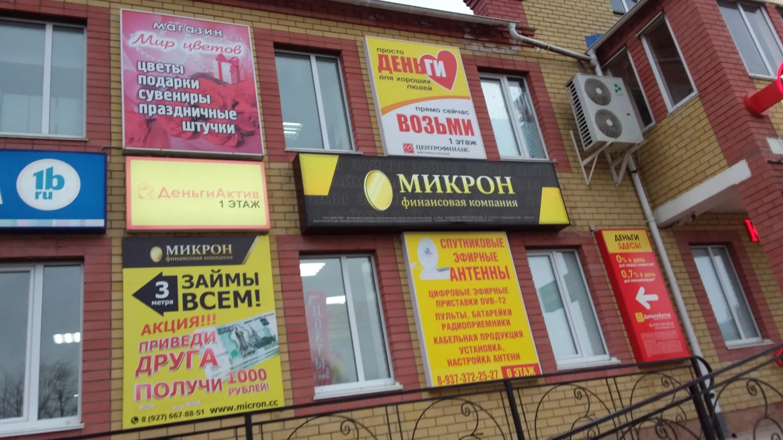 цветы цивильск. фиалки в теплице. цветы цивильск. цветы цивильск. народный театр цивильск.