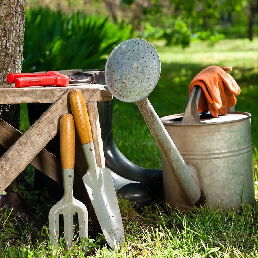 Работаем на дачном участке. Садовый инструмент. Инвентарь для сада и огорода. Садовый инвентарь в саду. Инструменты для огорода.