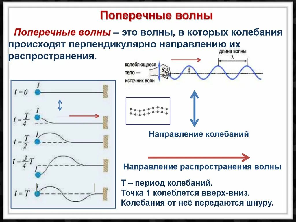 Каких направлениях совершаются колебания в продольной волне. Поперечные и продольные волны характеристики. Продольная волна схема. Как определить направление волны физика. Поперечная волна это в физике 9 класс.