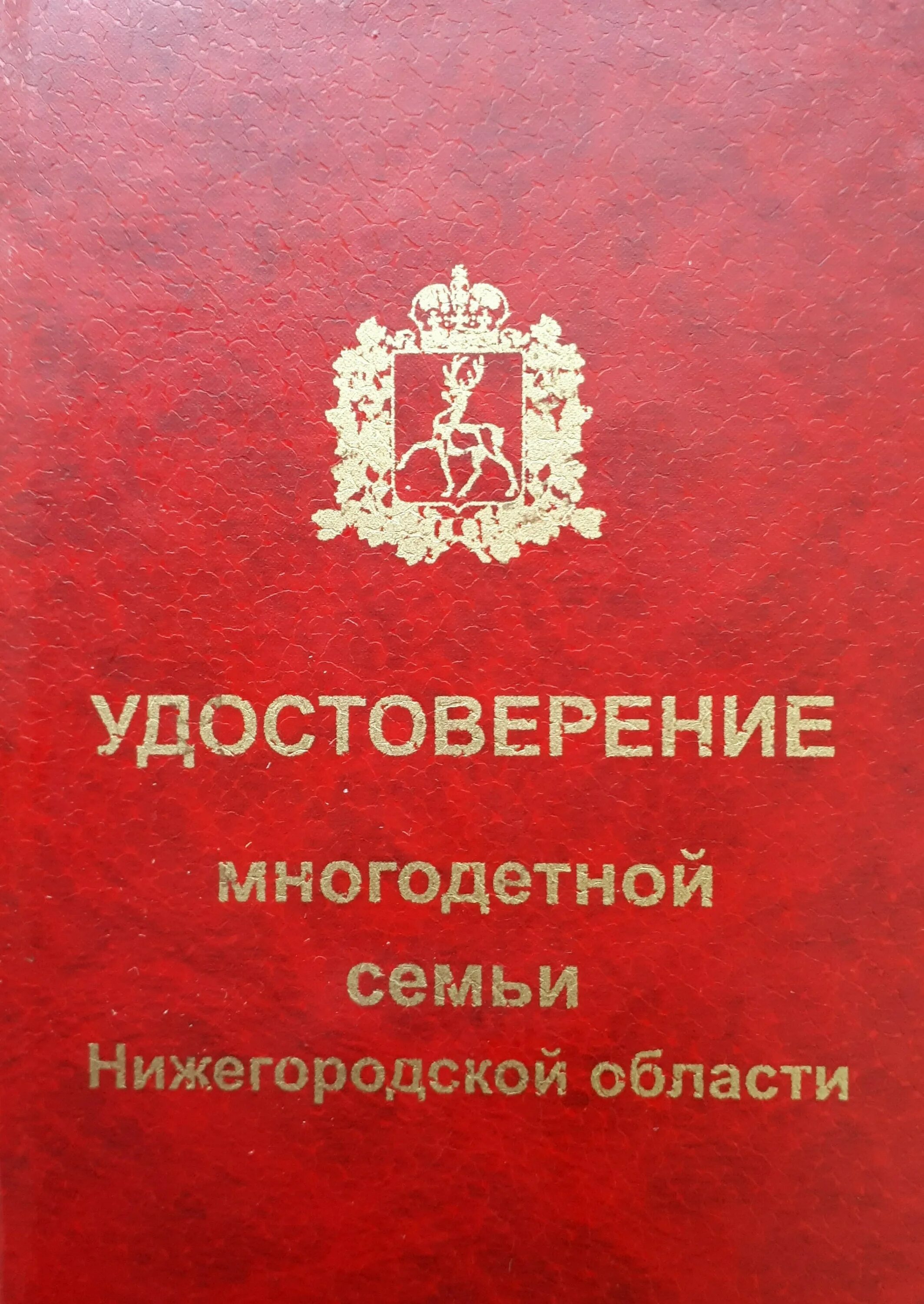 Получить свидетельство многодетных. Получить свидетельство многодетных
