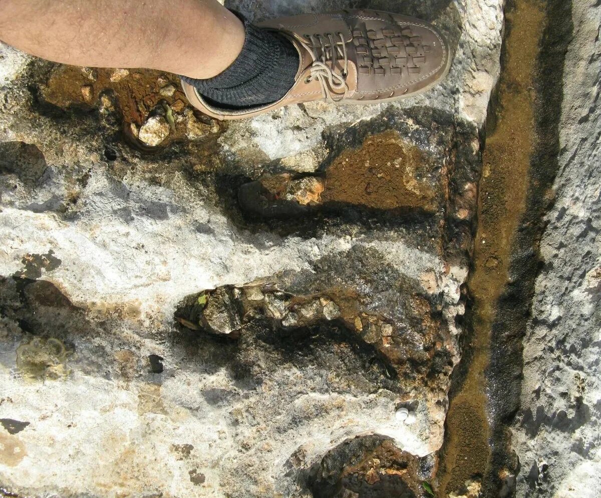Исторические отложения. Неогеновые отложения. Отпечаток ботинка 213 млн лет. Музей следов Акаулинка.