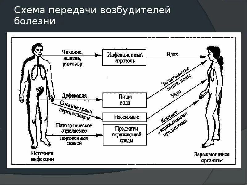 Схема пути передачи инфекционных заболеваний. Схема передачи возбудителей болезни. Преимущественная схема передачи возбудителей болезни. Пути передачи инфекционной болезни схема.