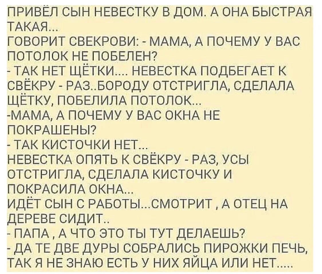 Сказала свекрови все что думает. Анекдот про невестку и сына. Приколы про сноху и золовку. Анекдот про свекра и невестку. Анекдот привел сын невестку в дом.