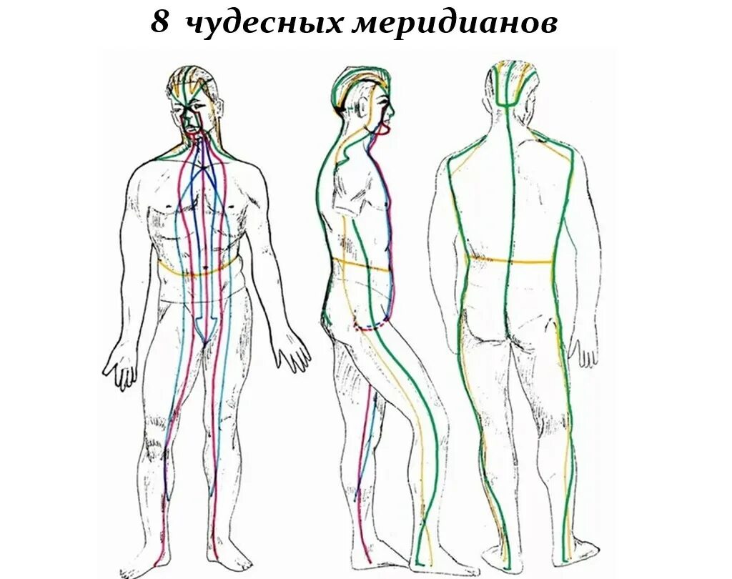 Су джок энергетические точки. Меридианы человека описание. Меридиан человека схема энергетических каналов. Меридианы человека описание. Меридианы на теле человека атлас.