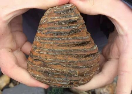 12 000 лет