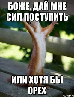 Ни дай боже