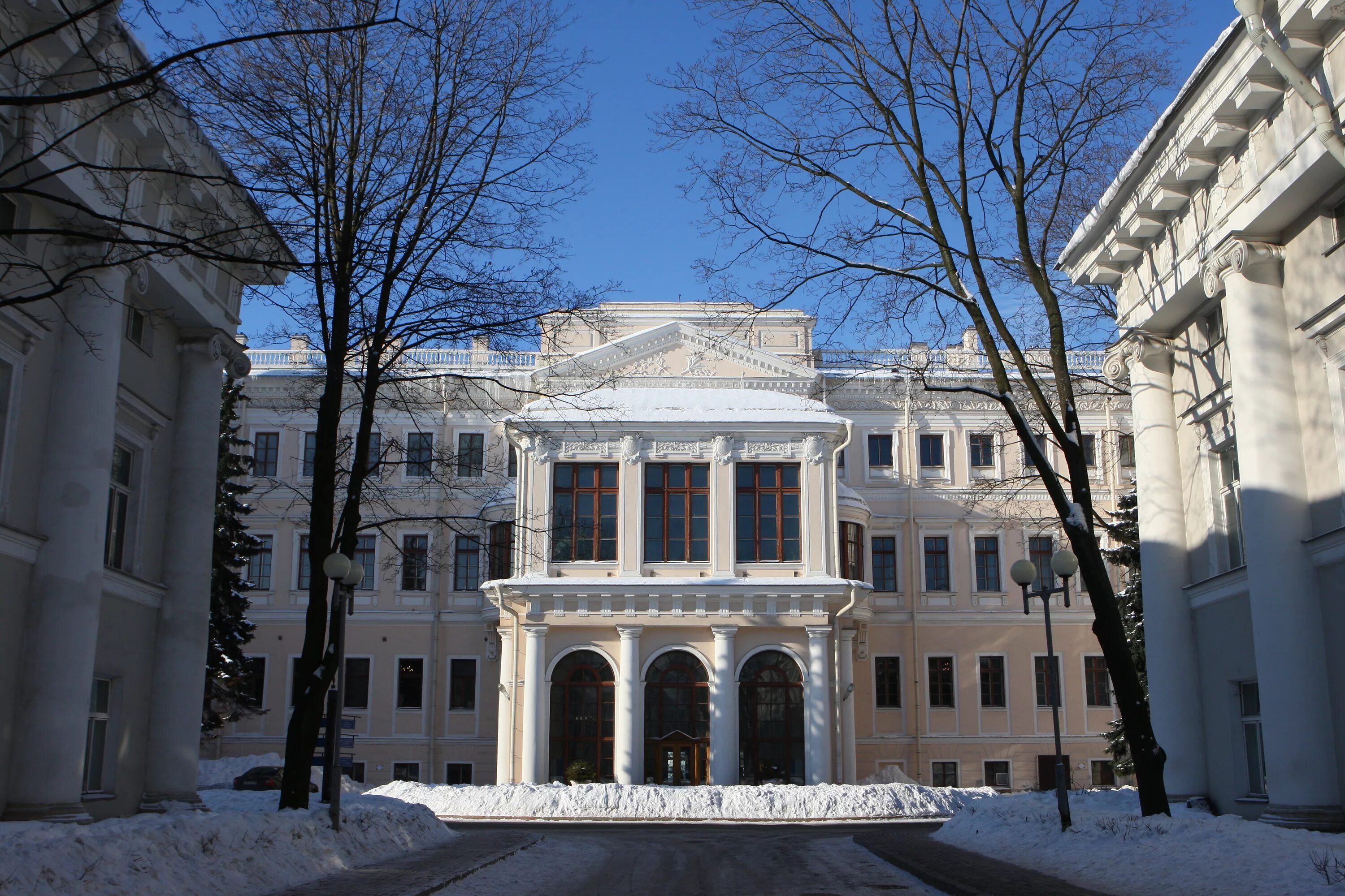 Гбноу спб гдтю. Аничков дворец Земцов. Дворец пионеров СПБ. Дворец пионеров Аничков дворец. Аничкин дворец графа Разумовского.