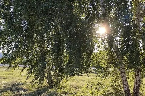 Август омск