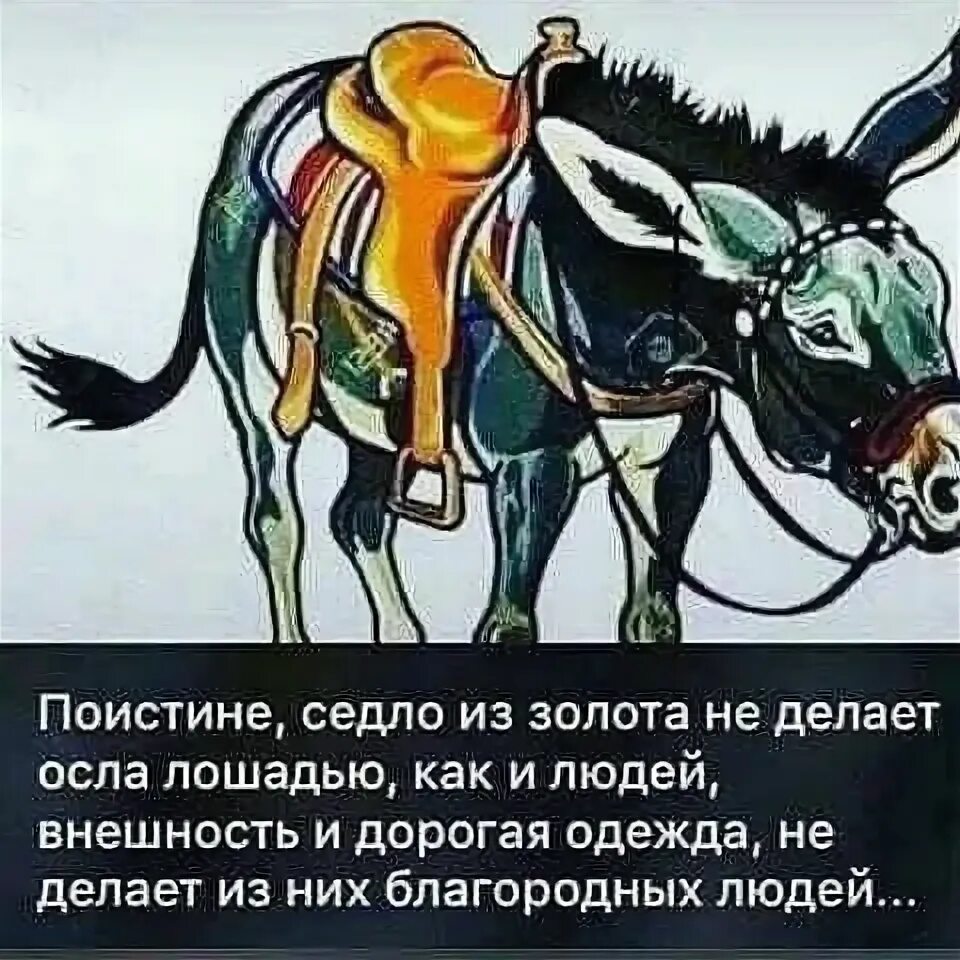 Он коней повел шажком в каком городе
