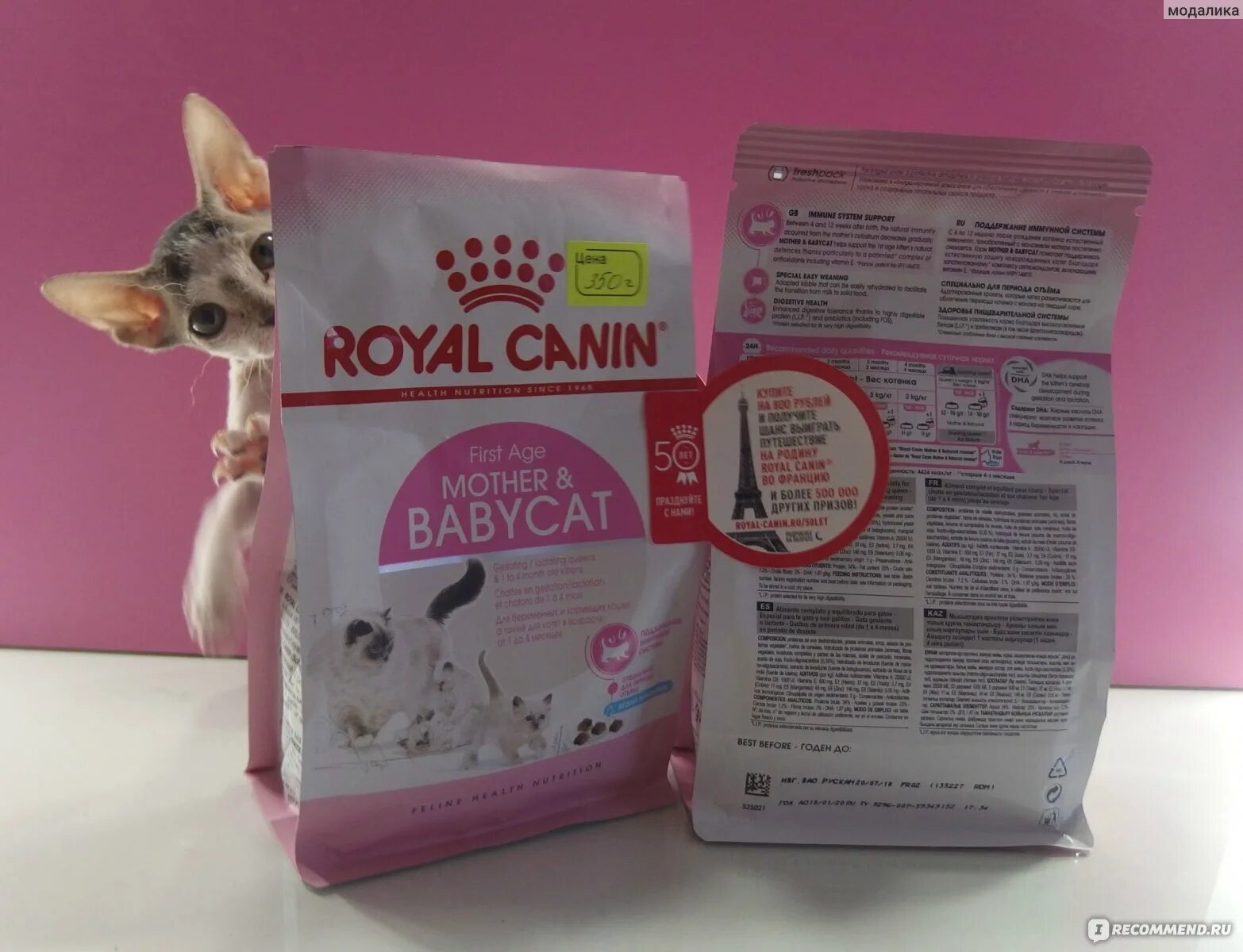 Royal canin babycat. Royal Canin Babycat состав. Royal Canin mother Babycat состав. Сухой корм для кошек Royal Canin "mother & Babycat", 2кг. Royal Canin Babycat калорийность.