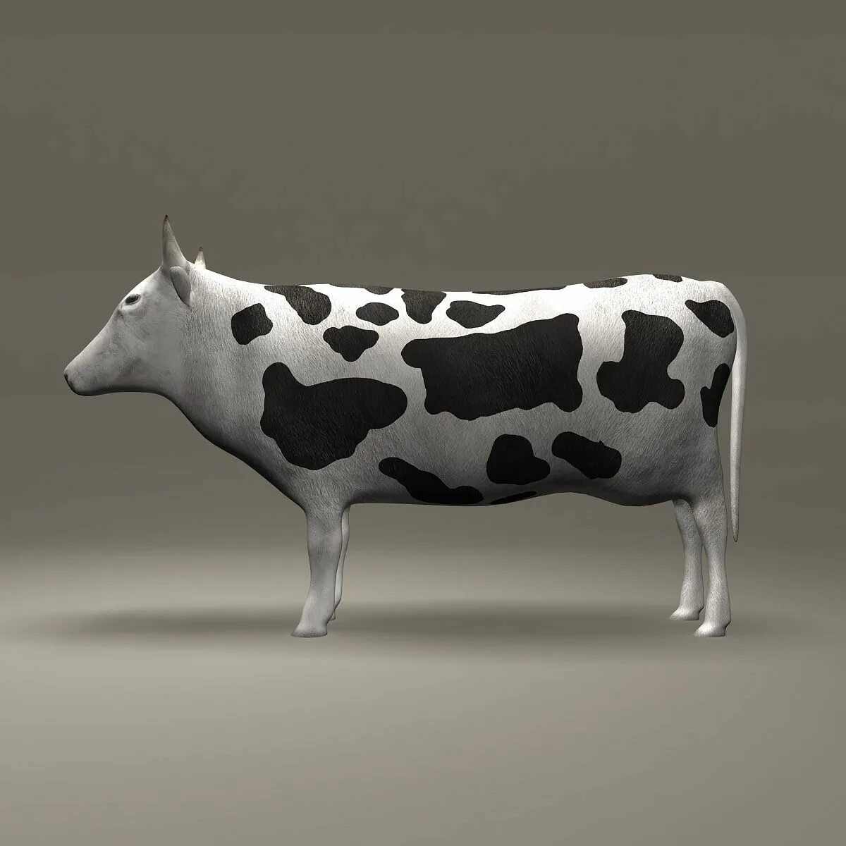 Cow model