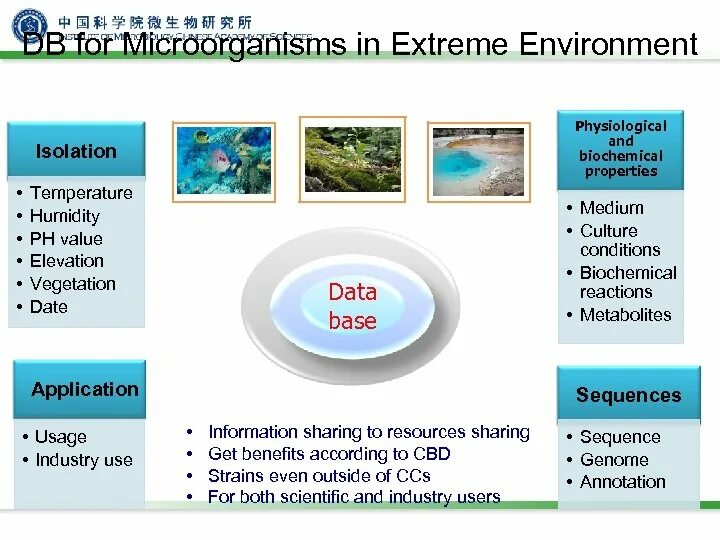 Environmental conditions предложения. Igf signaling pathway. Observing the effects of various mineral elements on plant growth. Info about microorganisms. Environmental conditions предложения.