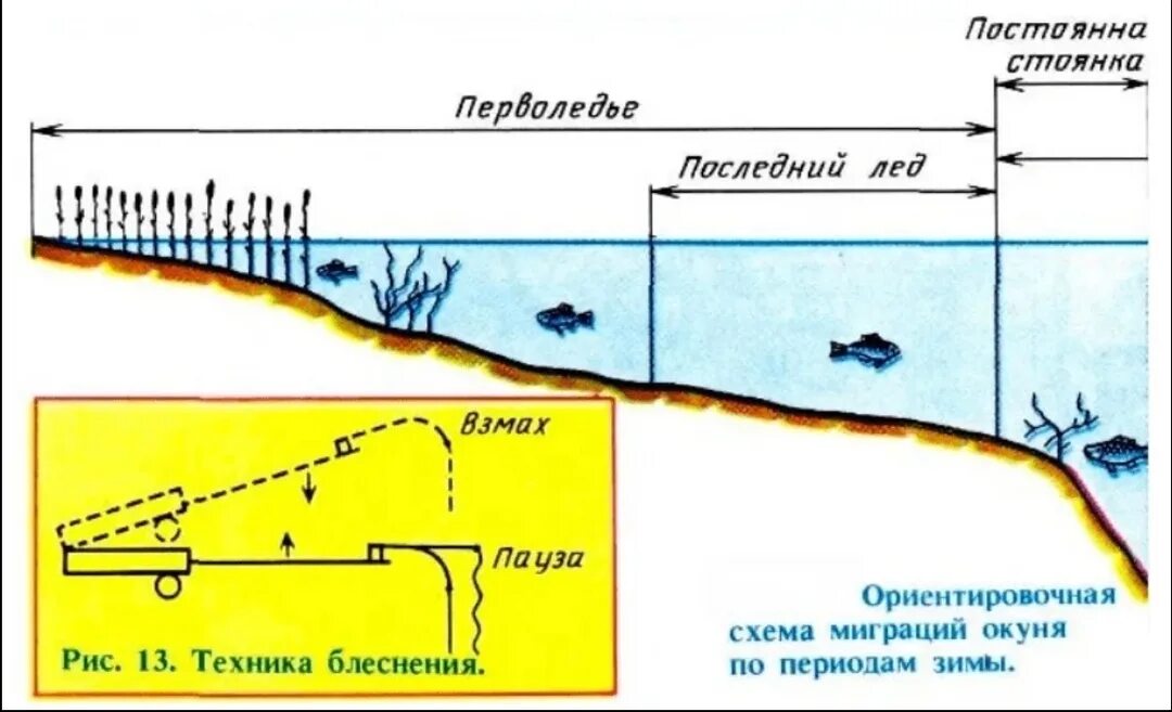 Какую рыбу на какой глубине ловить