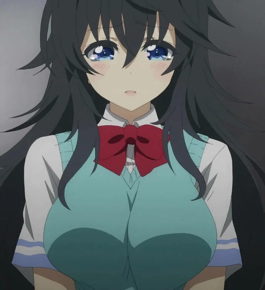 Netoge no yome wa onnanoko ja. Netoge no yome.