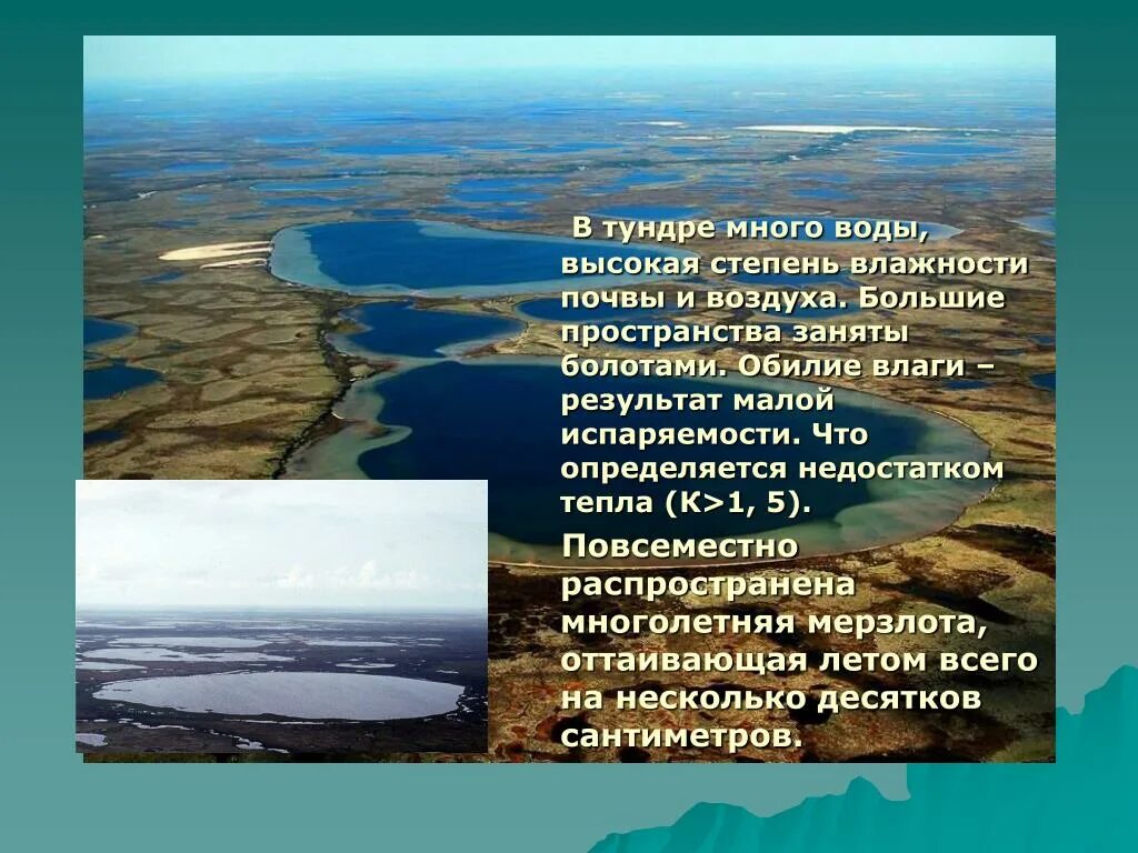 Воды тундры. Внутренние воды тундры в России. Водные ресурсы тундры. Воды тундры и лесотундры.